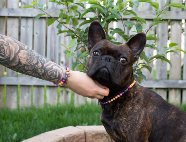 Pink Cedar Bracelet/Anklet - Match With Your Pups Cedar Tick Collar